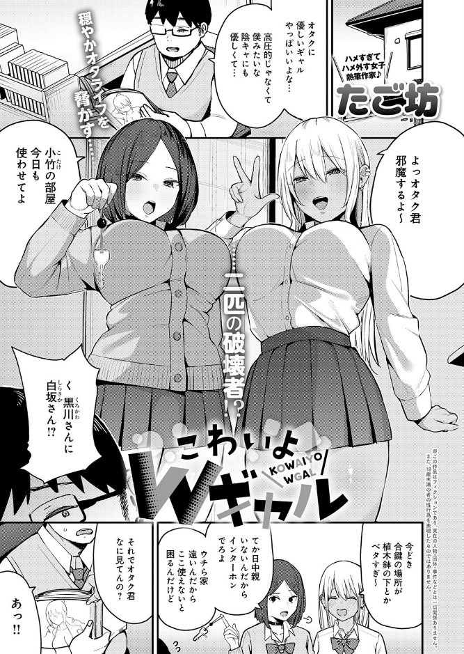 サンプル画像
