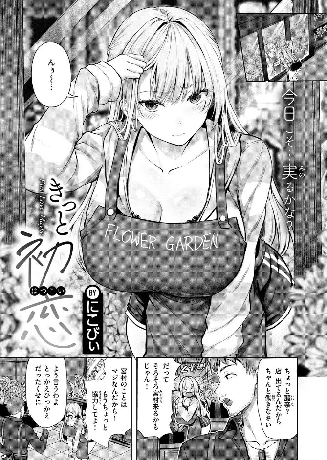サンプル画像