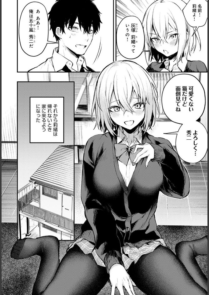 サンプル画像